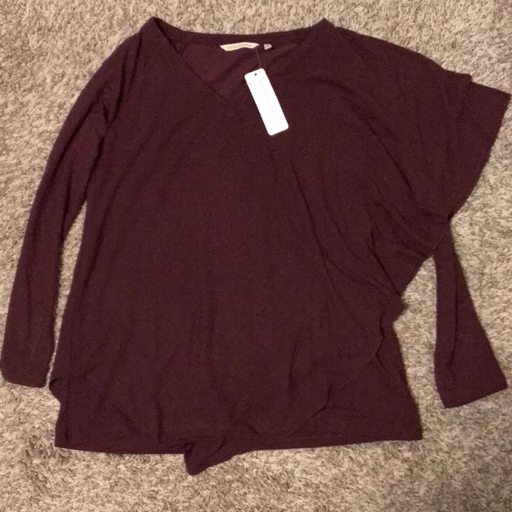 Soft Surroundings Madeline Tunic in Purple Wine